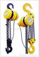 DHP electric chain hoist 1