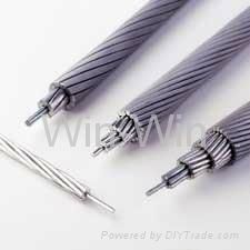 Aluminum Conductor Steel Reinforced (ACSR) 