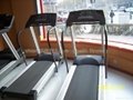 fitness/gyms/ ports equipment --light commercial treadmill 290I 2