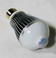 LED Infrared Sensor Bulb 4W/6W 2