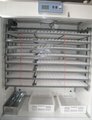 CE approved automatic poultry Egg Incubator YZITE-15 2