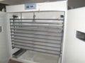 CE Marked poultry egg incubator YZITE-19 1