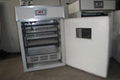 CE Marked Digital Egg Incubator for sale