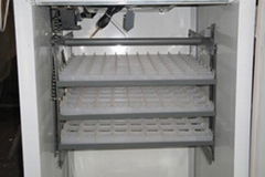 CE approved Automatic egg incubator small YZITE-5