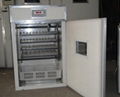 Best Selling CE Marked incubator for