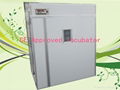 High hatching rate chicken egg incubation equipment YZITE-10(CE approved) 1