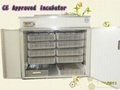 Durable poultry egg incubator hatcher YZITE-15(CE approved) 1