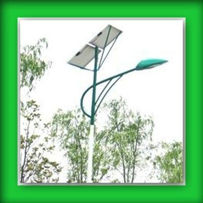 Green Solar Street Lamps 1