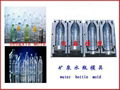 blowing bottle mould 3