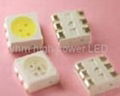 5050 SMD white