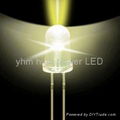 5mm  warm  white LED