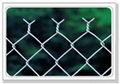 Chain link fence