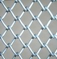 Chain link fence  2