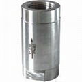 Stainless steel check valve  1