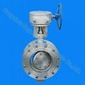 butterfly valve  2