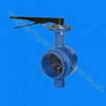 butterfly valve  3