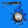 butterfly valve  4