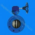 butterfly valve  5