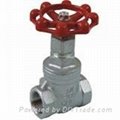 stainless steel gate valve  1