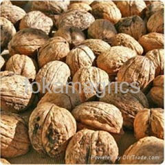 walnuts