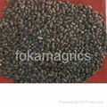 palm kernel seeds