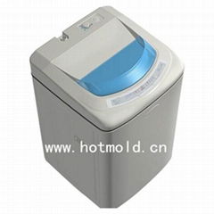 Washing machine mould