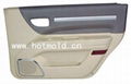 Auto car door mould 2