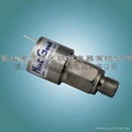 Stainless steel pressure switch 2