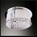 Moder Ceiling Light 5