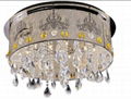 Stainless Steel Ceiling Lamp 1