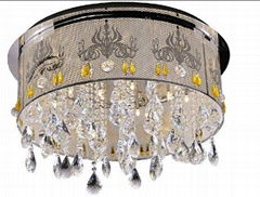 Stainless Steel Ceiling Lamp