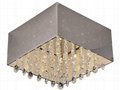 Stainless Steel Ceiling Lamp 2
