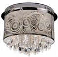 Stainless Steel Ceiling Lamp 4