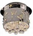 Stainless Steel Ceiling Lamp 5