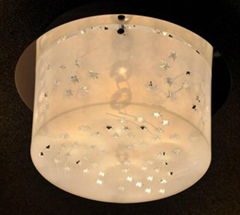 Acrylic Ceiling Lamp