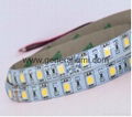 60LEDs/m 5050 SMD LED Flexible Strip,WP & RGB 1