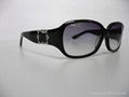 DESIGNER SUNGLASSES  1