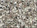 G664  brown granite