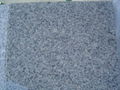 G602 cheapest grey granite 1