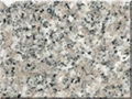 China pink granite G636 1