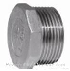 stainless steel screwed fittings 3