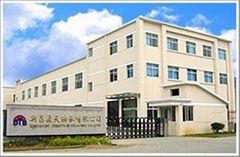 XinChang Dingtian Bearing Co., Ltd