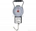 Mechanical hanging scale