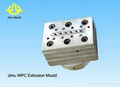 WPC PVC window profile extrusion mould  2