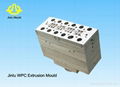 WPC PVC window profile extrusion mould  3