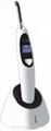 LED curing light 1