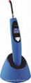 LED curing light 1