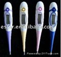 Digital Thermometer 1