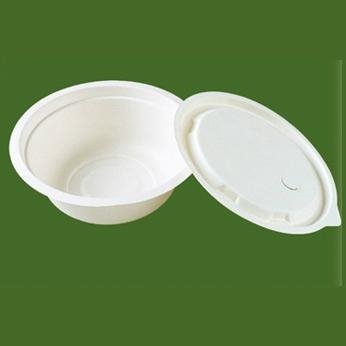 biodegradable disposable bowl  3