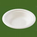 biodegradable disposable bowl  4